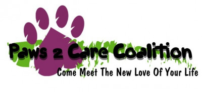 Paws 2 Care Coalition - Pet Shelter and Rescue in Hollywood, Florida