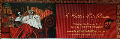 A Better Life Rescue, Inc - Pet Shelter and Rescue in Palm Beach Gardens, Florida