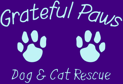 Grateful Paws Dog And Cat Rescue - Pet Shelter and Rescue in Eustis, Florida