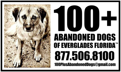 100Plus Animal Rescue, INC. - Pet Shelter and Rescue in Oakland Park, Florida