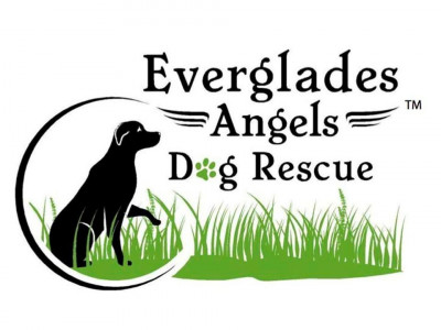 Everglades Angels Dog Rescue - Pet Shelter and Rescue in Pompano Beach, Florida