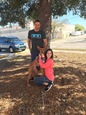 Bo Nose Rescue - Pet Shelter and Rescue in Cape Coral, Florida