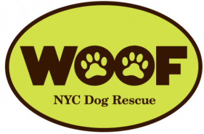 Woof Dog Rescue Inc. - Pet Shelter and Rescue in New York, New York