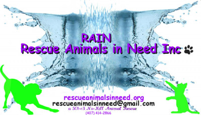 RAIN (Rescue Animals In Need Inc.) - Pet Shelter and Rescue in Fort Myers, Florida