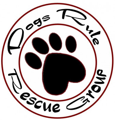Dogs Rule Rescue Group - Pet Shelter and Rescue in Deerfield Beach, Florida