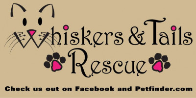 Whiskers And Tails Rescue - Pet Shelter and Rescue in Miami, Florida