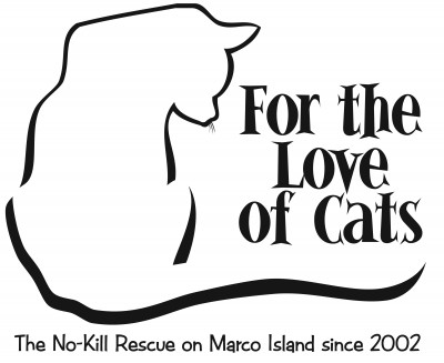 For The Love Of Cats Inc. - Pet Shelter and Rescue in Naples, Florida