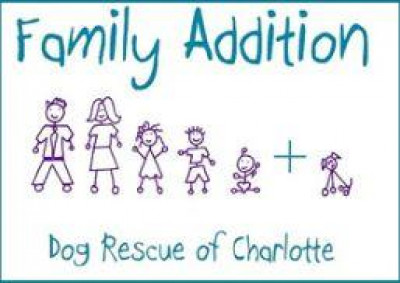 Family Addition Dog Rescue Of Charlotte - Pet Shelter and Rescue in Charlotte, North Carolina