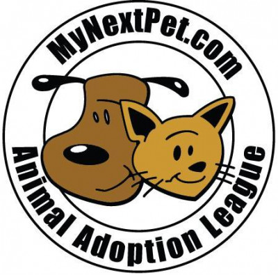 Animal Adoption League - Pet Shelter and Rescue in Charlotte, North Carolina