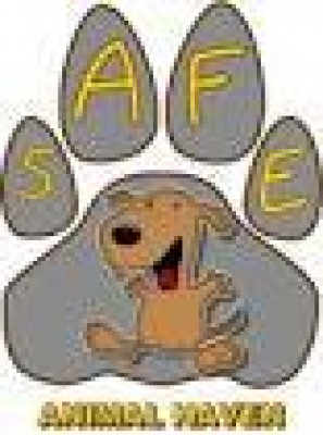 S.A.F.E. Animal Haven - Pet Shelter and Rescue in Matthews, North Carolina