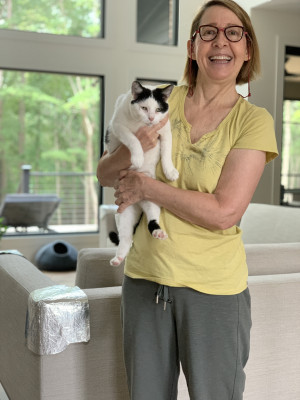 M & M Feline Rescue - Pet Shelter and Rescue in Indian Trail, North Carolina