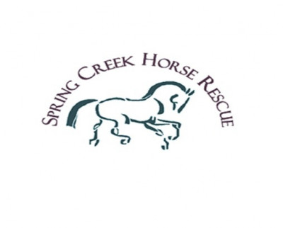 Spring Creek Horse Rescue - Pet Shelter and Rescue in Durango, Colorado