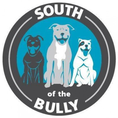 South Of The Bully Rescue - Pet Shelter and Rescue in Charlotte, North Carolina