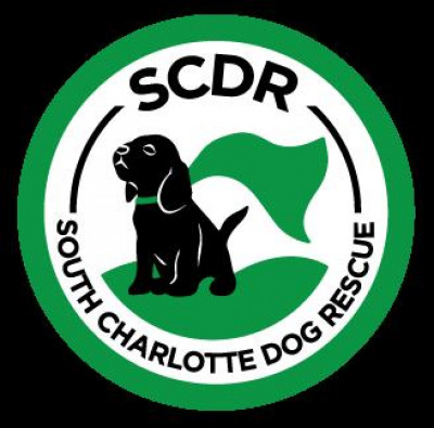 South Charlotte Dog Rescue - Pet Shelter and Rescue in Waxhaw, North Carolina