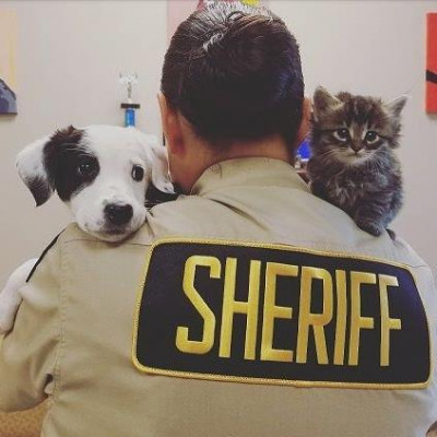 Union County Animal Services - Pet Shelter and Rescue in Monroe, North Carolina