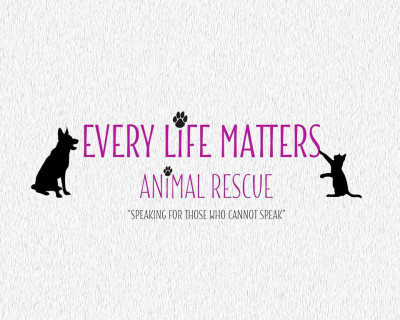 Every Life Matters Animal Rescue - Pet Shelter and Rescue in Rock Hill, South Carolina