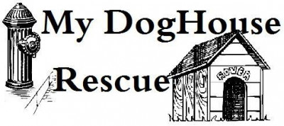My Dog House Rescue Inc. - Pet Shelter and Rescue in Richburg, South Carolina