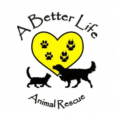 A Better Life Animal Rescue - Pet Shelter and Rescue in Morganton, North Carolina
