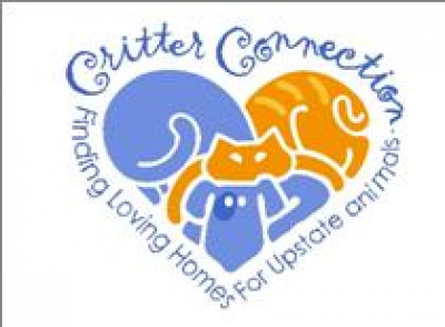 Critter Connection - Pet Shelter and Rescue in Spartanburg, South Carolina