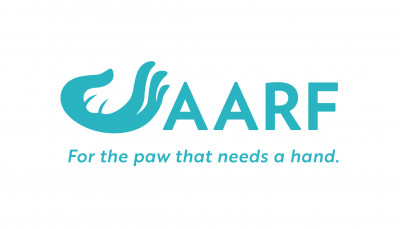 Animal Adoption And Rescue Foundation - Pet Shelter and Rescue in Winston-Salem, North Carolina