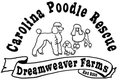 Carolina Poodle Rescue - Pet Shelter and Rescue in Pacolet, South Carolina