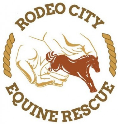 Rodeo City Equine Rescue - Pet Shelter and Rescue in Ellensburg, Washington