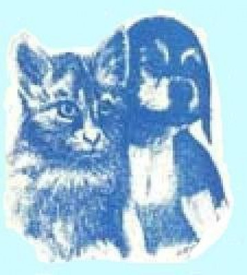 Happy Hills Animal Foundation Inc. - Pet Shelter and Rescue in Staley, North Carolina