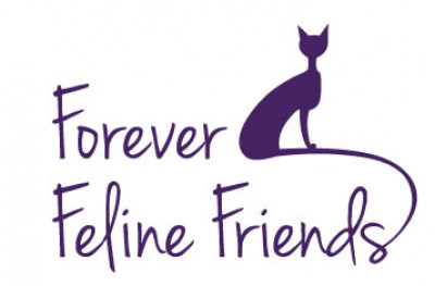 Forever Feline Friends - Pet Shelter and Rescue in Charlotte, North Carolina
