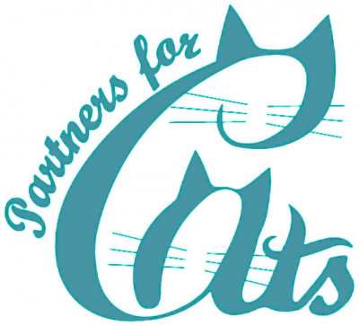 Partners For Cats - Pet Shelter and Rescue in Morganton, North Carolina