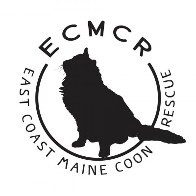 East Coast Maine Coon Rescue - Pet Shelter and Rescue in Hazlet, New Jersey