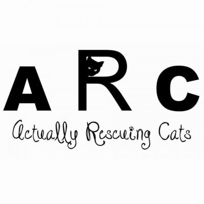 Actually Rescuing Cats - Pet Shelter and Rescue in Campobello, South Carolina