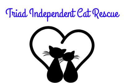 Triad Independent Cat Rescue - Pet Shelter and Rescue in Greensboro, North Carolina