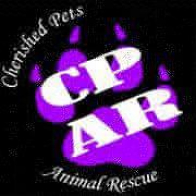 Cherished Pets Animal Rescue (CPAR) - Pet Shelter and Rescue in Fort Stockton, Texas
