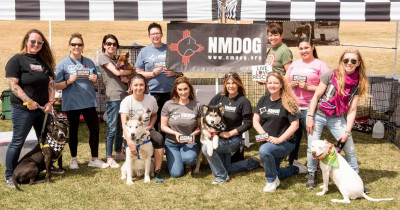 NMDOG - Pet Shelter and Rescue