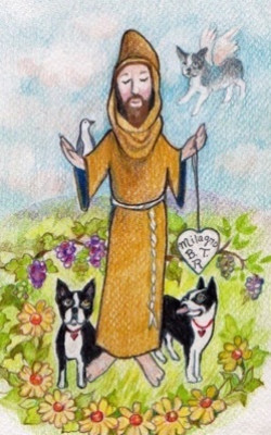 New Mexico Boston Terrier Rescue - Pet Shelter and Rescue in Corrales, New Mexico