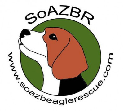 Southern Arizona Beagle Rescue - Pet Shelter and Rescue in Tucson, Arizona
