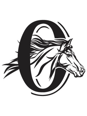 Olympic Peninsula Equine Network (OPEN) - Pet Shelter and Rescue in Sequim, Washington