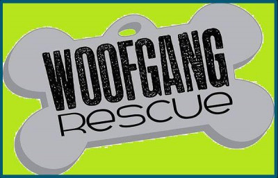 Woof Gang Rescue - Pet Shelter and Rescue in Racine, Wisconsin