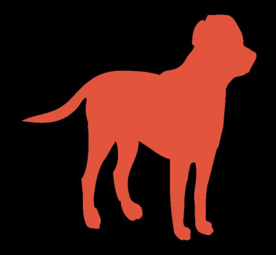 Paws And Tails Lifetime Companions - Pet Shelter and Rescue in Richfield, Wisconsin