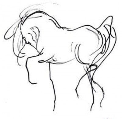 Saffyre Sanctuary, Inc. - Pet Shelter and Rescue in Los Angeles, California