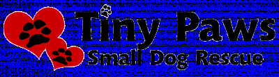 Tiny Paws Small Dog Rescue - Pet Shelter and Rescue in Union Grove, Wisconsin