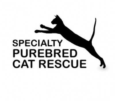 Specialty Purebred Cat Rescue - Pet Shelter and Rescue in Kenosha, Wisconsin