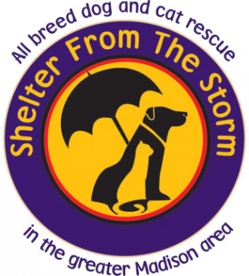 Shelter From The Storm - Pet Shelter and Rescue in Madison, Wisconsin