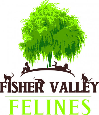 Fisher Valley Felines Inc - Pet Shelter and Rescue in Oregon, Wisconsin