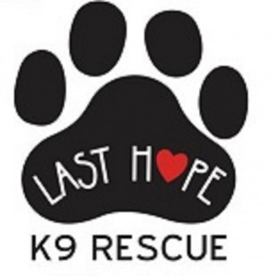 Last Hope K9 Rescue - Pet Shelter and Rescue in Boston, Massachusetts