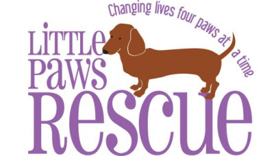 Little Paws Dachshund Rescue - Pet Shelter and Rescue in West Columbia, South Carolina
