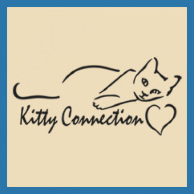 Kitty Connection Inc - Pet Shelter and Rescue in Medford, Massachusetts