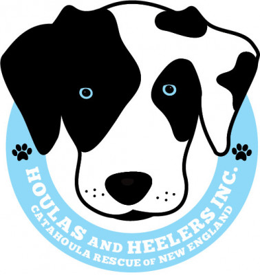 Catahoula Rescue Of New England - Pet Shelter and Rescue in Warren, Maine