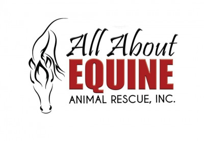 All About Equine Animal Rescue, Inc. - Pet Shelter and Rescue in Folsom, California
