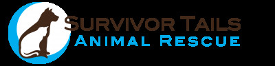 Survivor Tails Animal Rescue - Pet Shelter and Rescue in Hull, Massachusetts